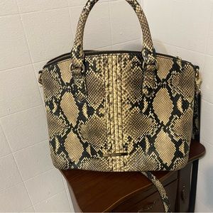 BRAHMIN SNAKE SKIN PURSE